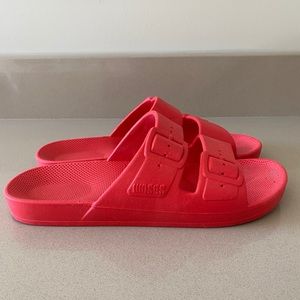 Freedom Moses Slides